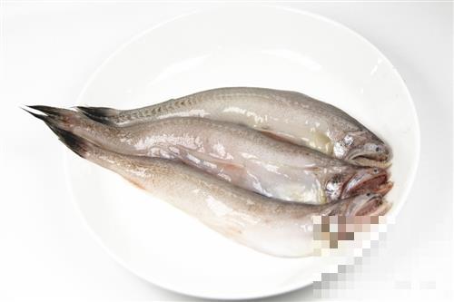 龙头鱼的营养及功效与作用